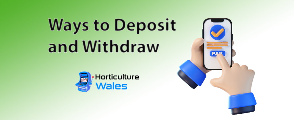 Ways to Deposit and Withdraw