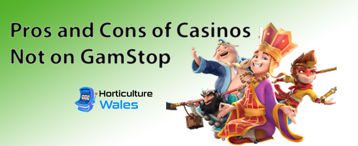 Pros and Cons of Casinos Not on GamStop